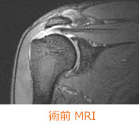 TR-03-04-img04.jpg